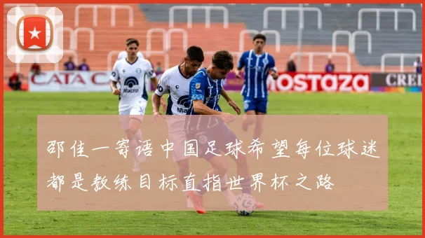 邵佳一寄语中国足球希望每位球迷都是教练目标直指世界杯之路
