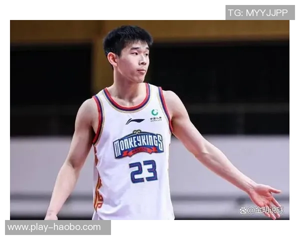 媒体人分析林葳接球投篮能力需提升以适应当前比赛水平